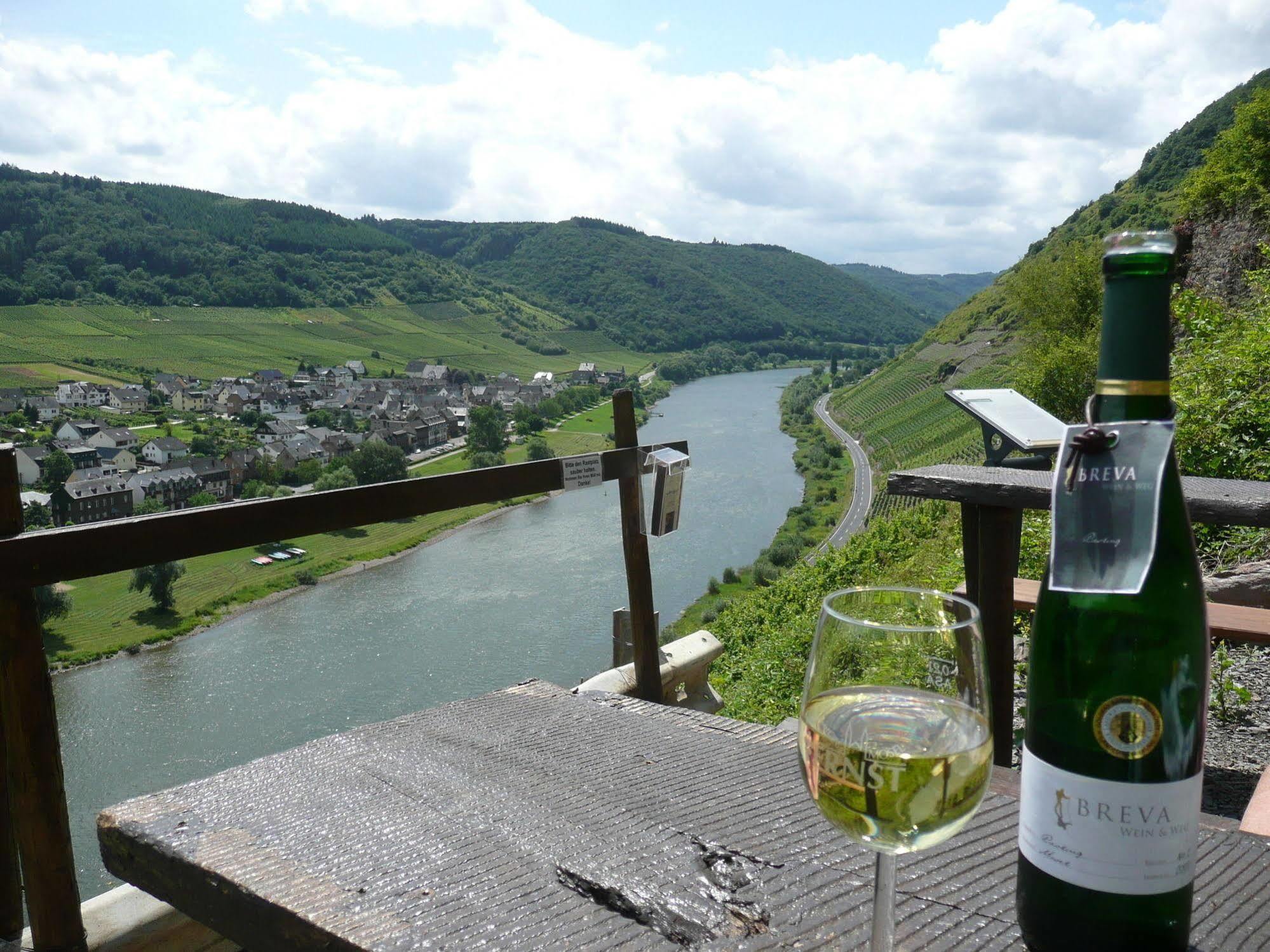 Hotel Zur Winzergenossenschaft Ernst Extérieur photo